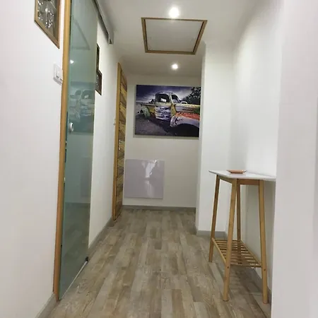 Rabbit * Mosonmagyaróvár